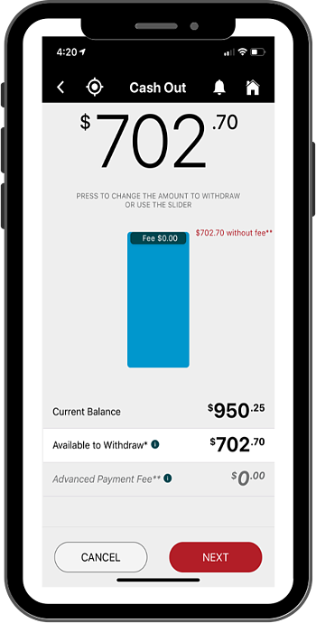 Iron Sheepdog Digital Ticketing Mobile Example